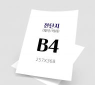 B4 (257mm x 368mm)