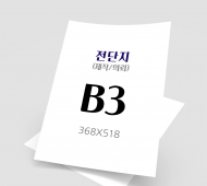 B3 (368mm x 518mm)