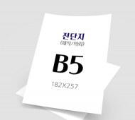 B5 (182mm x 257mm)